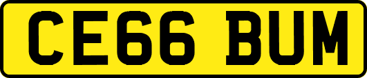 CE66BUM