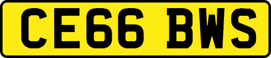CE66BWS