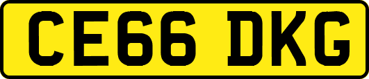 CE66DKG