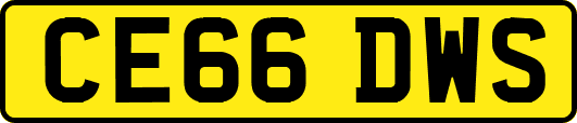 CE66DWS