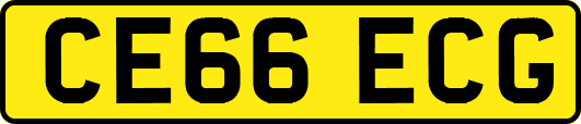 CE66ECG