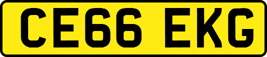 CE66EKG