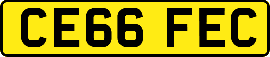 CE66FEC