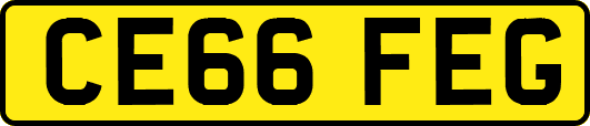 CE66FEG