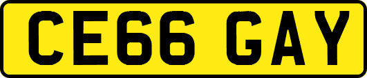 CE66GAY