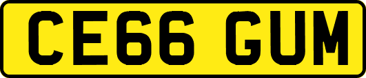 CE66GUM