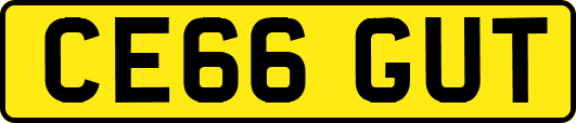 CE66GUT