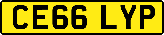 CE66LYP