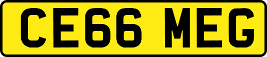 CE66MEG