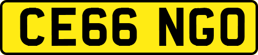CE66NGO