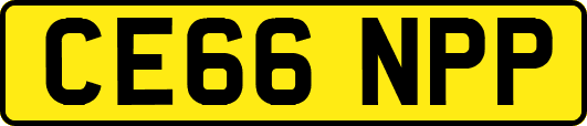 CE66NPP
