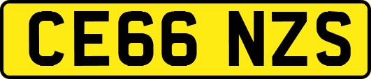 CE66NZS