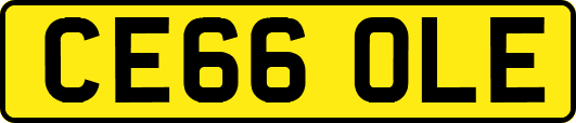 CE66OLE