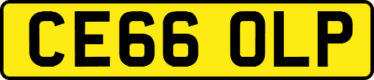 CE66OLP