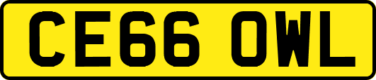 CE66OWL