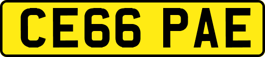 CE66PAE