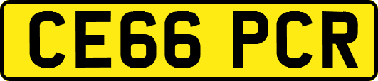 CE66PCR