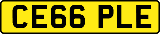 CE66PLE