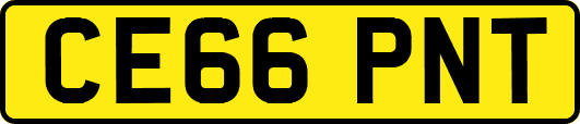 CE66PNT