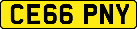 CE66PNY