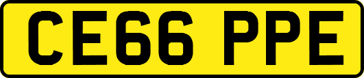 CE66PPE