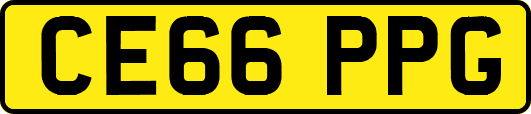 CE66PPG