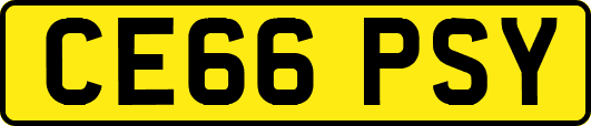 CE66PSY
