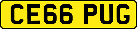 CE66PUG