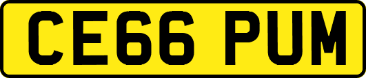CE66PUM