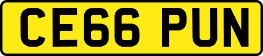 CE66PUN