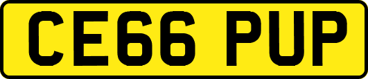 CE66PUP