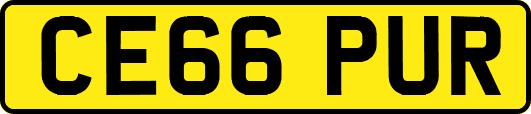 CE66PUR