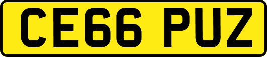 CE66PUZ