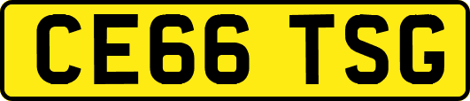 CE66TSG