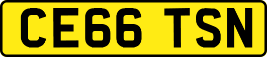 CE66TSN
