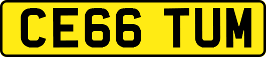 CE66TUM