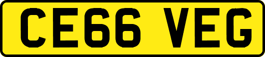 CE66VEG