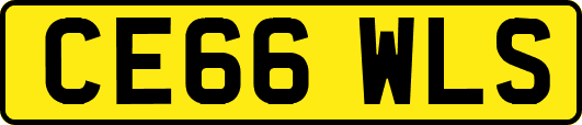 CE66WLS