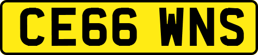 CE66WNS