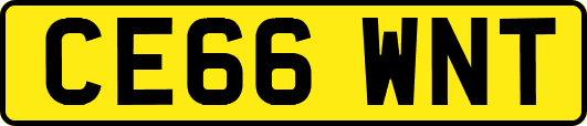 CE66WNT