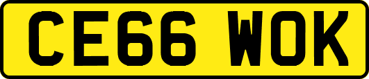 CE66WOK
