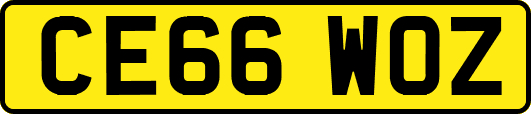 CE66WOZ