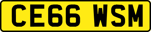 CE66WSM