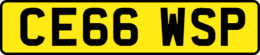CE66WSP