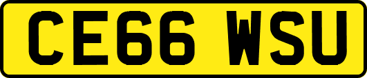 CE66WSU