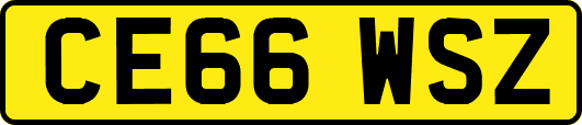CE66WSZ