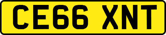 CE66XNT