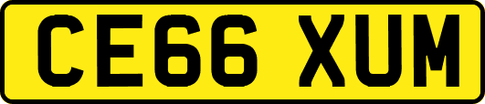 CE66XUM