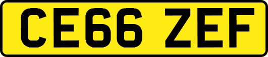 CE66ZEF