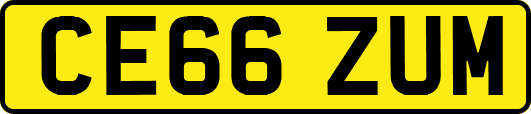CE66ZUM